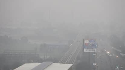 Indore News Cold wave in MP temperature cold day alert winter record