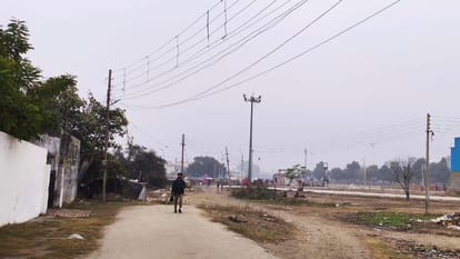 Haryana Weather news IMD issues dense for alert across state temperature down cold wave zero visibility
