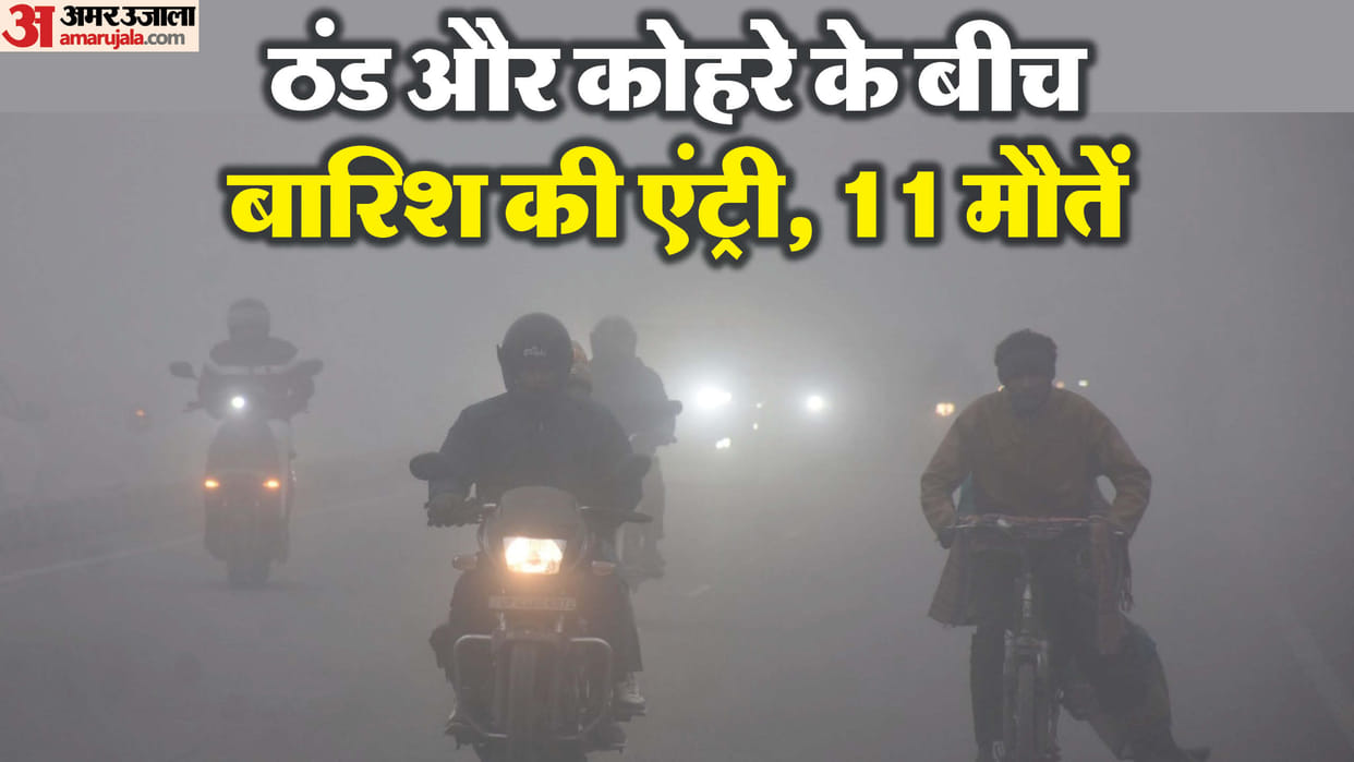 UP Weather Forecast Today: 11 Dead as Cold Wave Dense Fog and Rain Wreak Havoc Across State Mausam News