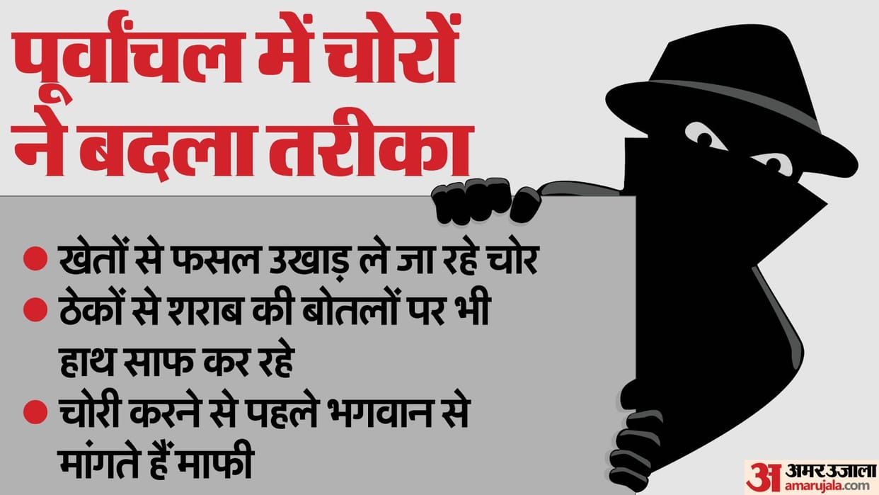 Varanasi News Thieves in Purvanchal Steal Garlic Brinjals and Even Alcohol Bottles Changing Their Methods