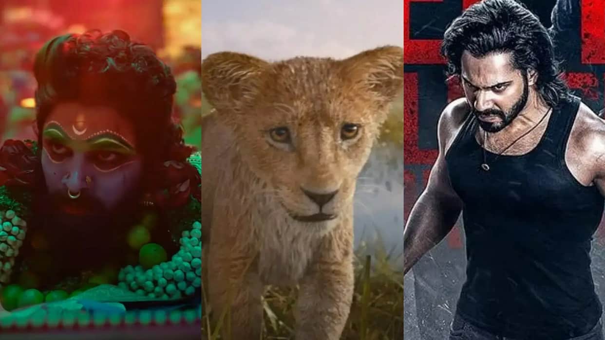 Box Office Collection Report Monday Baby john mufasa The Lion King pushpa 2 the rule total earnings in india