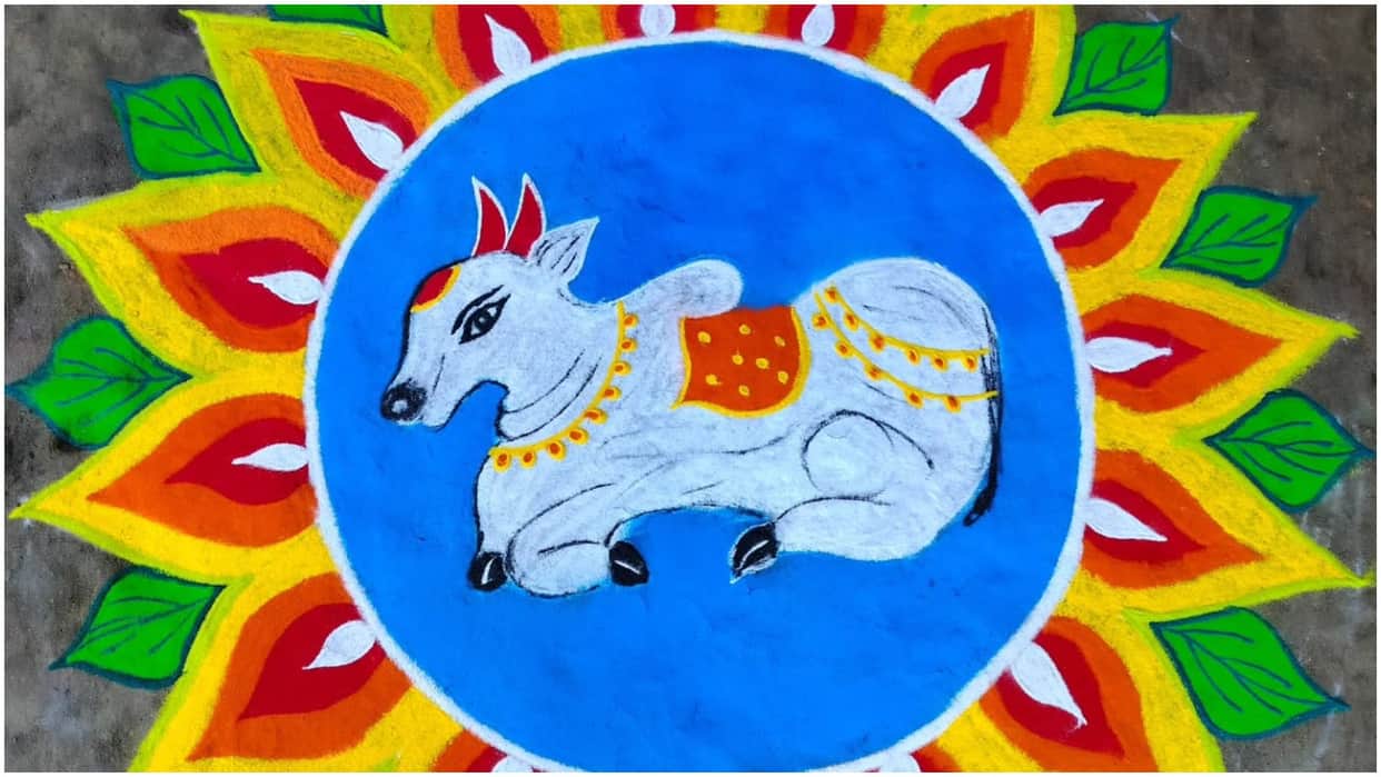Happy Pongal 2025 Rangoli Designs Ideas Easy Pongal kolam Rangoli Images Disprj