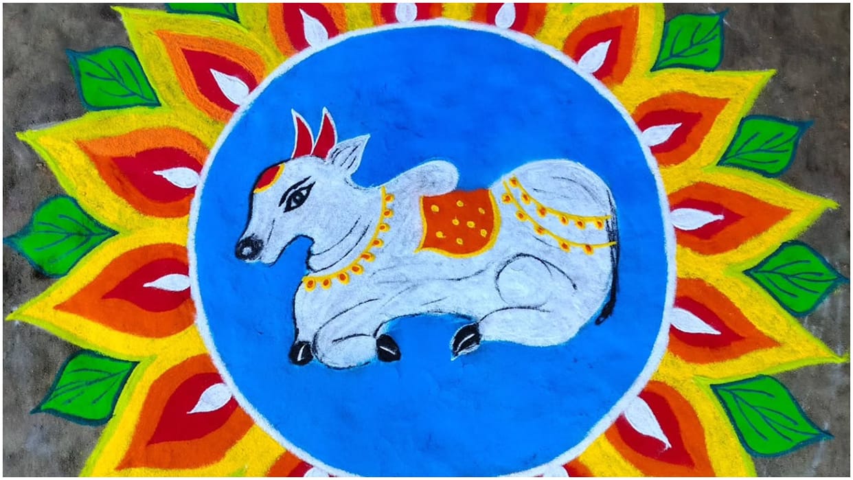 Happy Pongal 2025 Rangoli Designs Ideas Easy Pongal kolam Rangoli Images Disprj