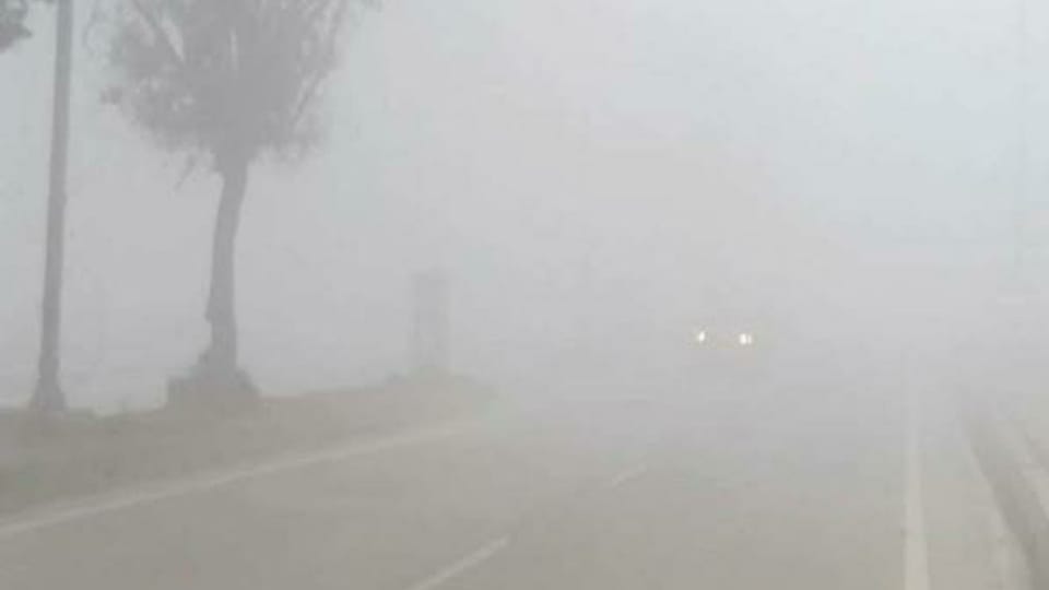 Haryana Weather news IMD issues dense for alert across state temperature down cold wave zero visibility