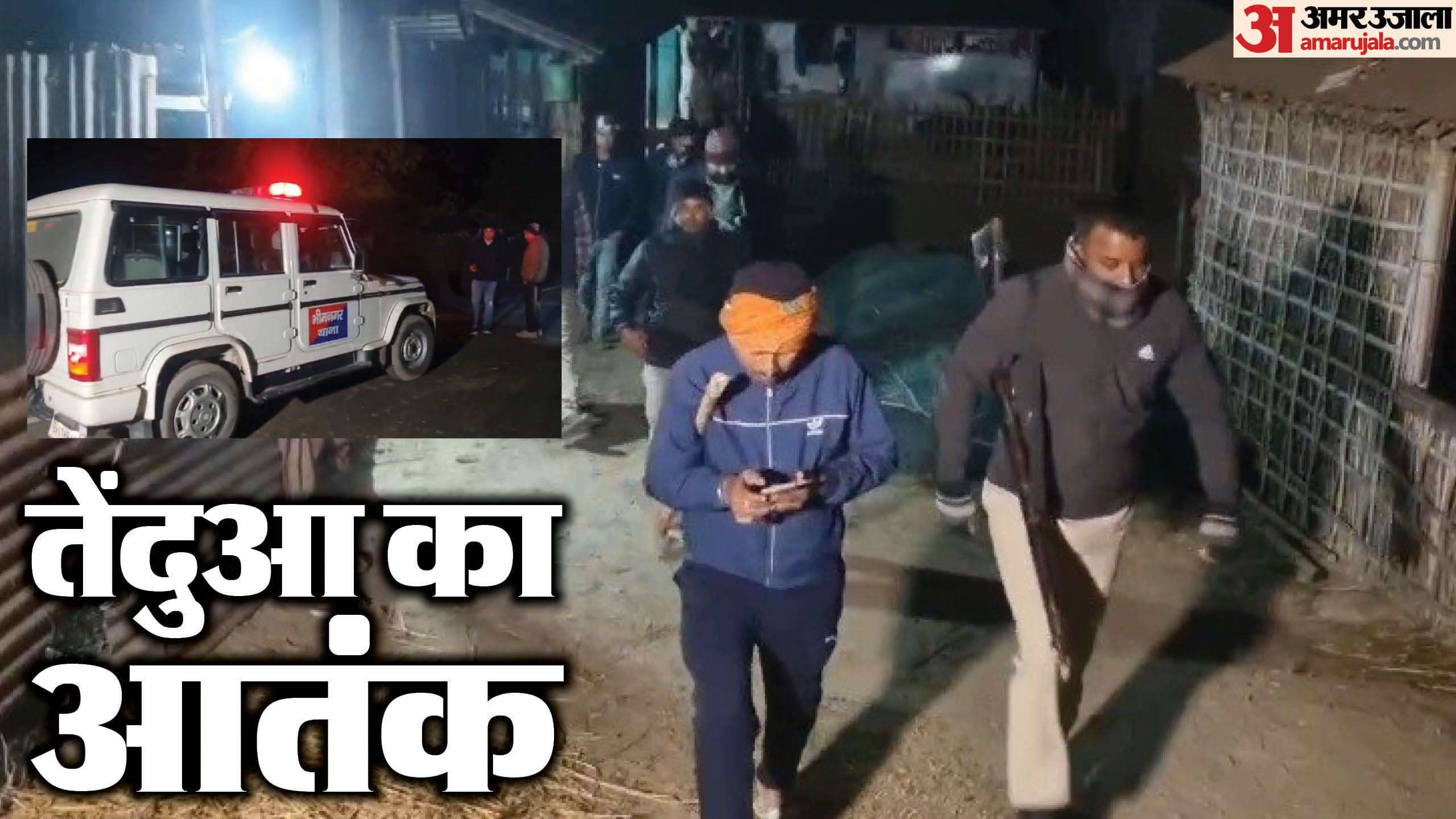 तेंदुआ की तलाश में सर्च ऑपरेशन चलाया जा रहा है।