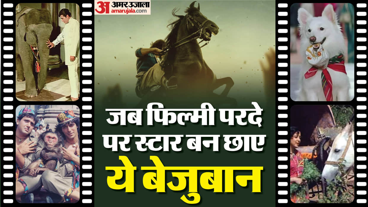 Movie Characters Who Get Popular More Than Star Cast Azaad Sholay Hum Aapke Hain Koun Haathi Mere Saathi