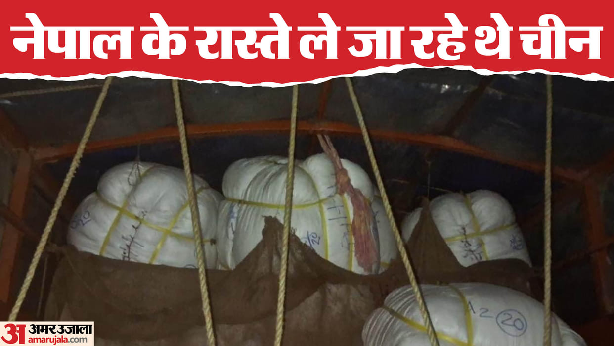 Bihar News : Indian hair smuggling to china recovered by dri