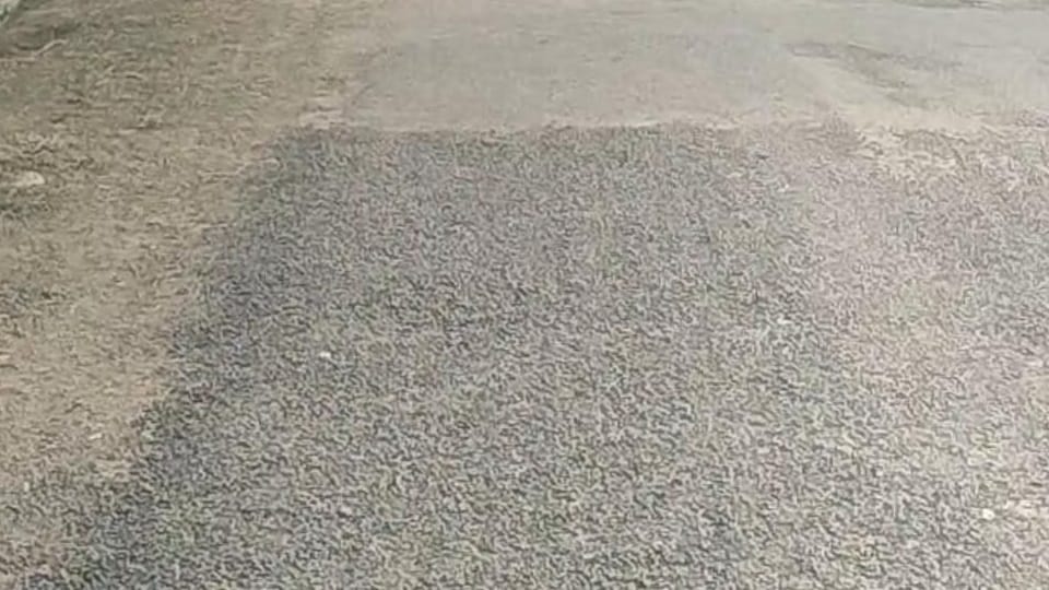 B&R did patchwork on Kirtan-Kharia road in Hisar