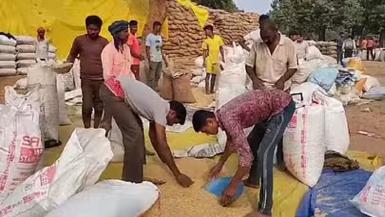 Case of fake purchase of 6768 bags of paddy exposed in paddy procurement centre in Chhattisgarh