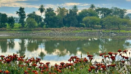 Indore News Explore the Hidden Gem  100-Year-Old Pindeshwar Mahadev Temple