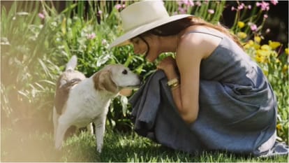 Duchess of Sussex Meghan Markle pays tribute to late dog Guy shares heartfelt post says You filled my life