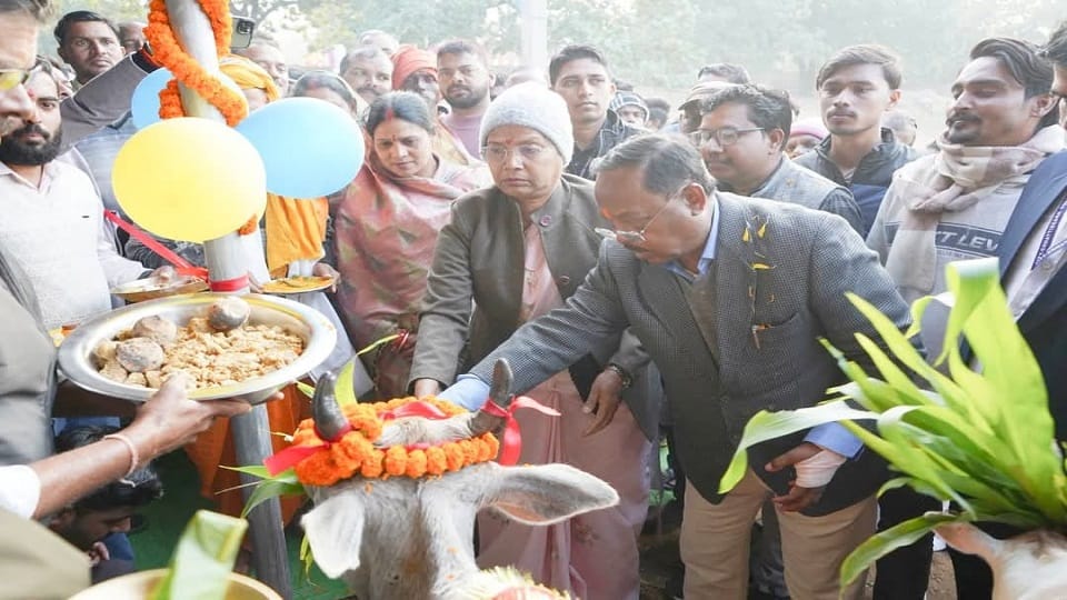 Minister Ramvichar Netam reached cowshed worshiped cows inaugurated and laid in Balrampur Ramanujganj