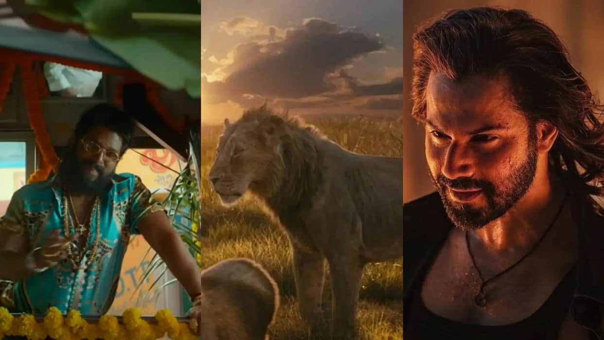 Box office Collection report Pushpa 2 The Rule Mufasa The Lion King Baby John Tuesday Earnings