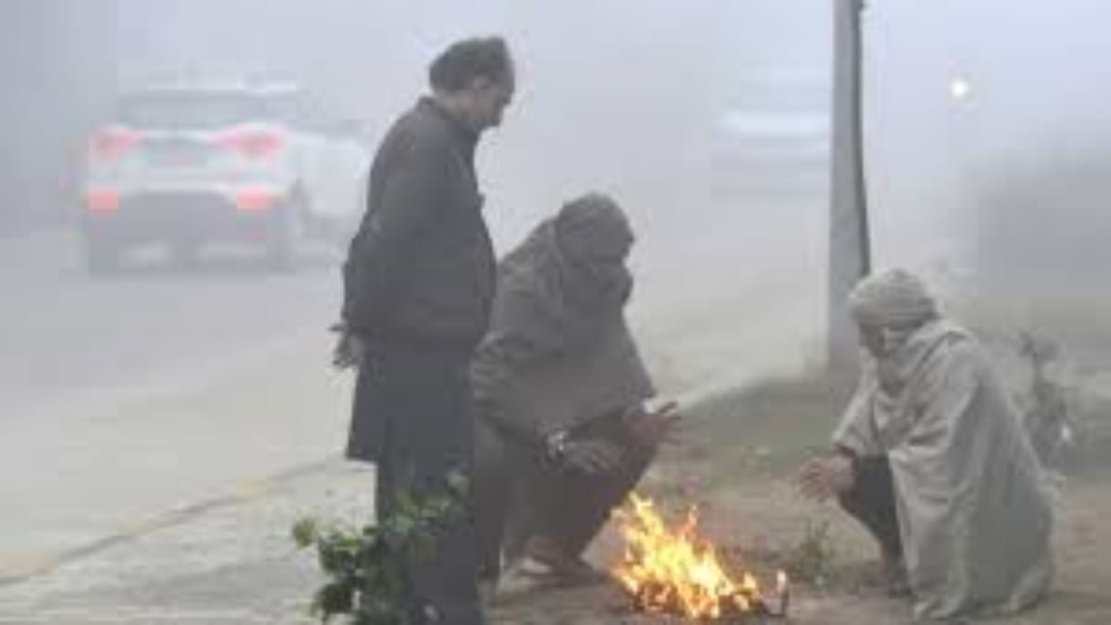 Rajasthan Weather Update: Cold wave warning in 8 cities today, alert of rain before Makar Sankranti