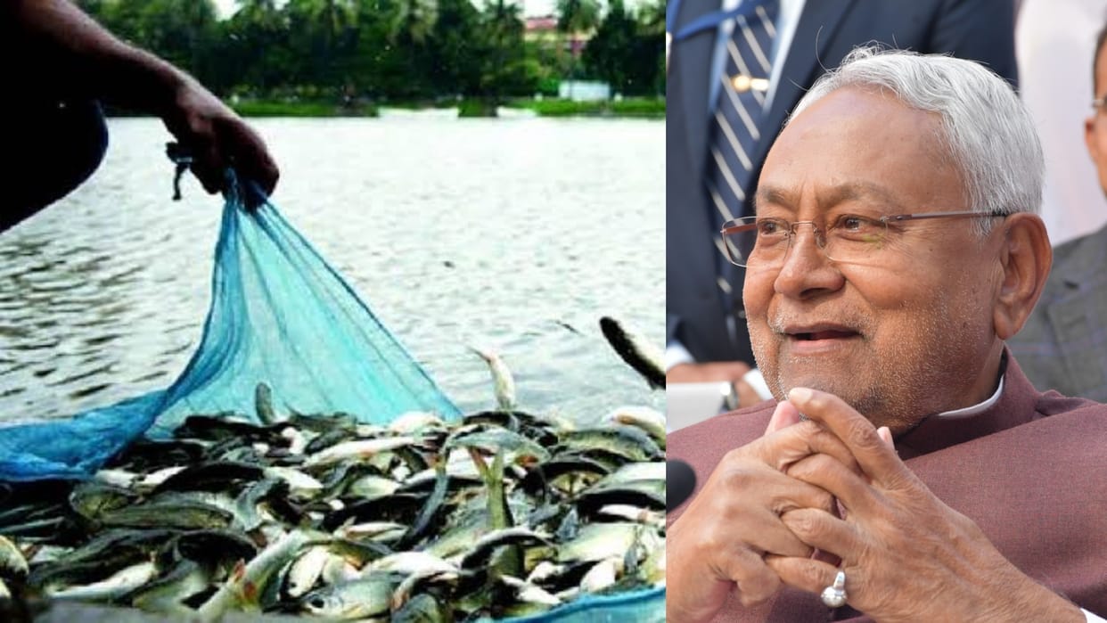 Bihar News : Bihar government distribute fish marketing kits by  camp Animal and Fish Resources Department