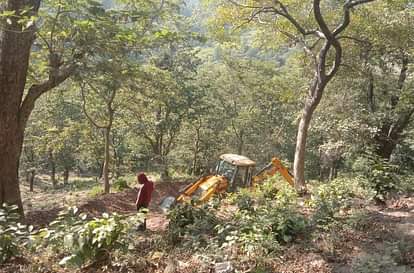 Uttarakhand News Protected species of trees cut to build a resort case filed against cabinet minister son