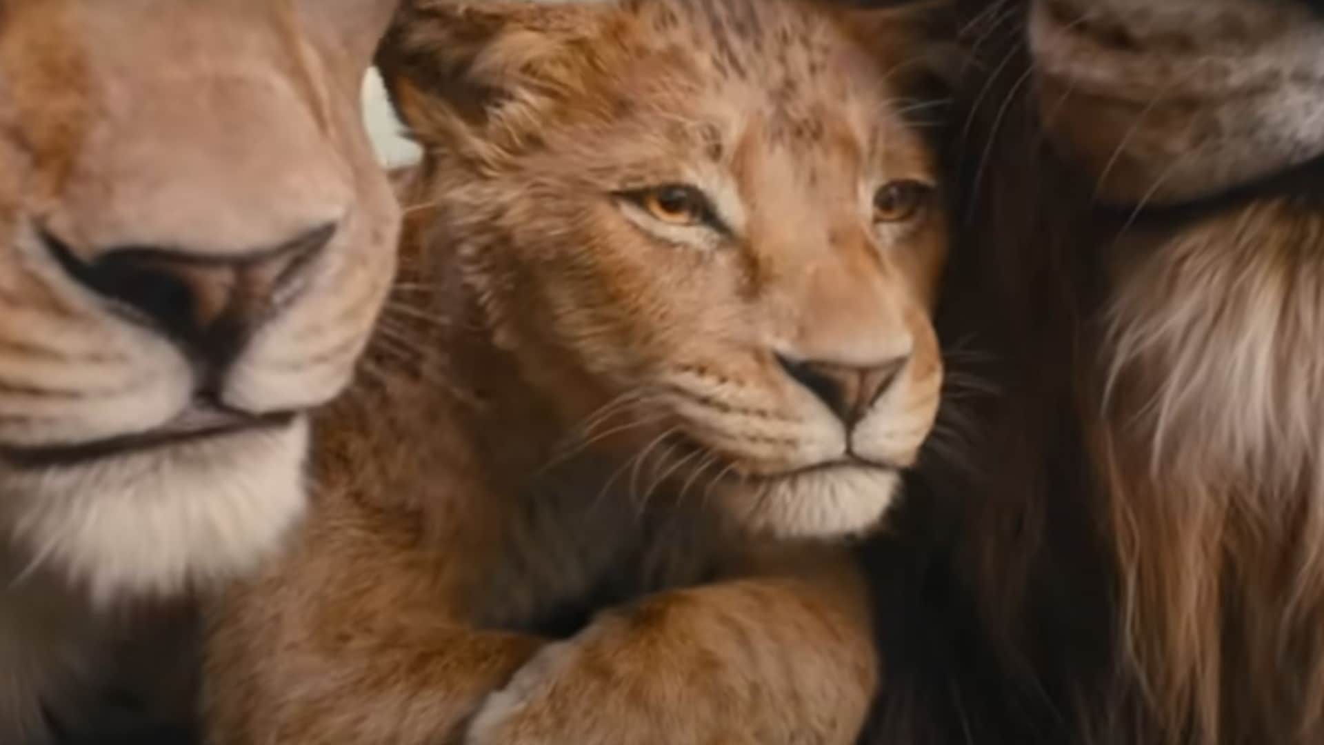 box office collection report mufasa the lion king Allu Arjun pushpa 2 the rule baby john wednesday earnings