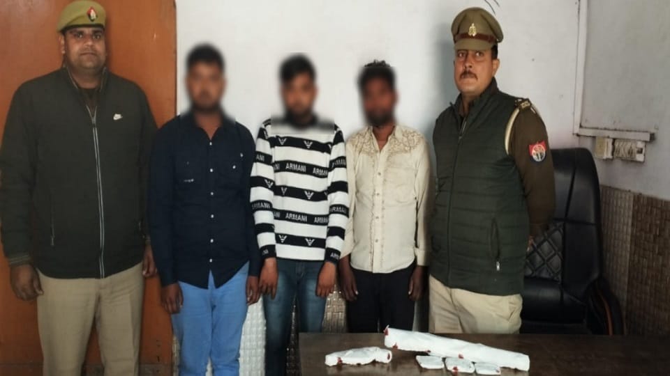members of vehicle theft gang arrested