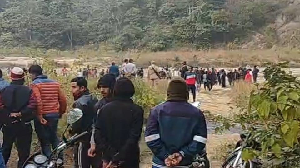 tiger kills beet watcher in ramnagar
