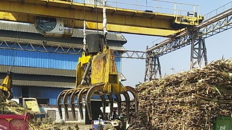 CG: गन्ना किसानों का 50 करोड़ रुपये लंबित, दो माह बाद भी चीनी मिल ने नहीं किया भुगतान; प्रदर्शन की तैयारी