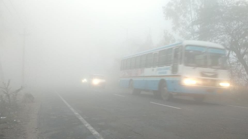 Haryana Weather Update fog in haryana