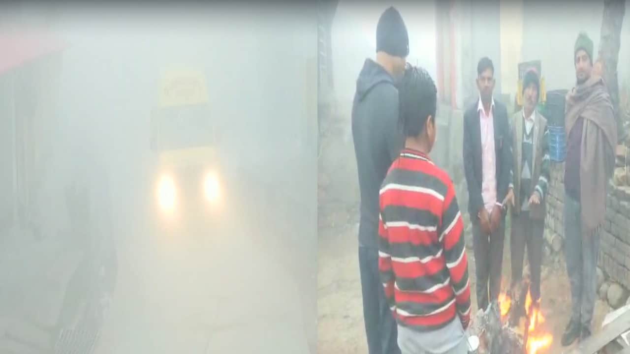 कोहरे और शीतलहर ने बढ़ाई परेशानी
