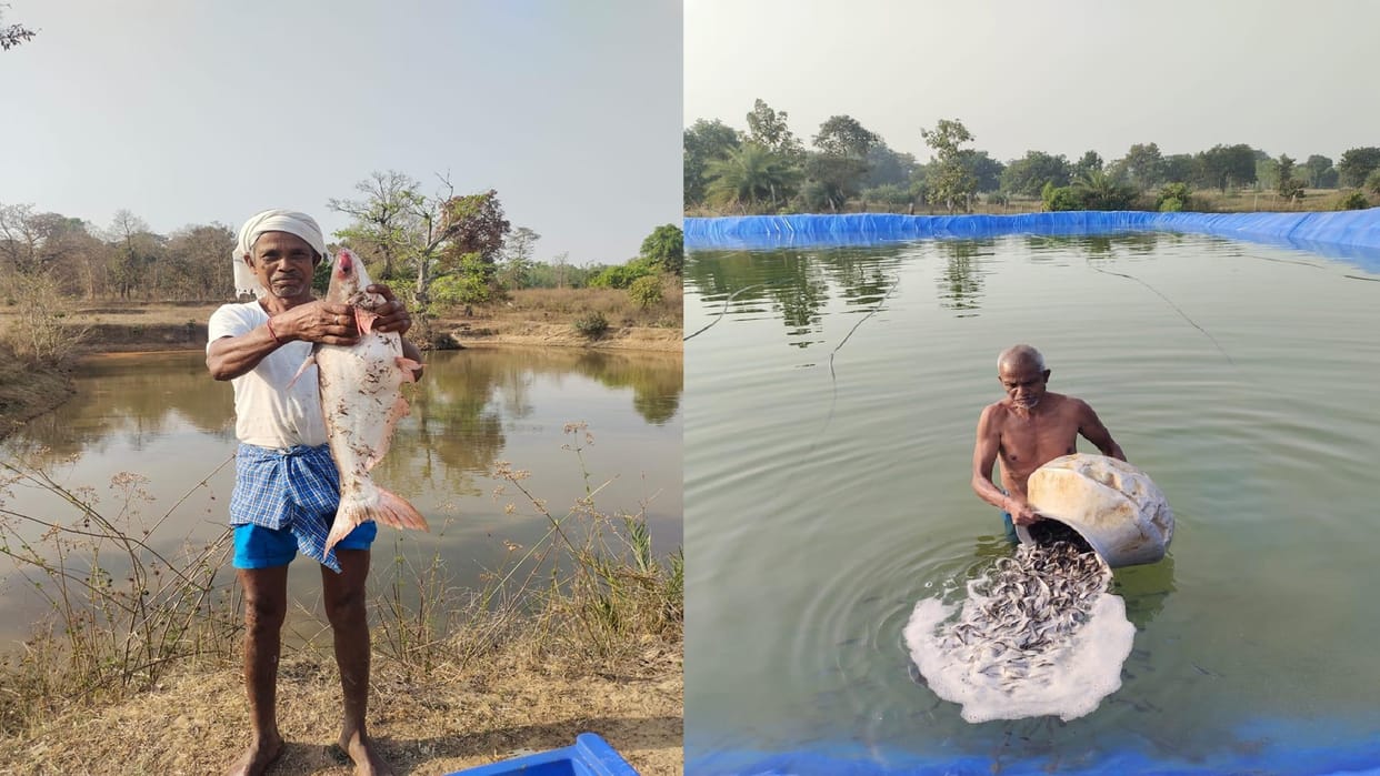 Farmer Jairam is earning five and a half lakh rupees annually by fish farming in Chhattisgarh