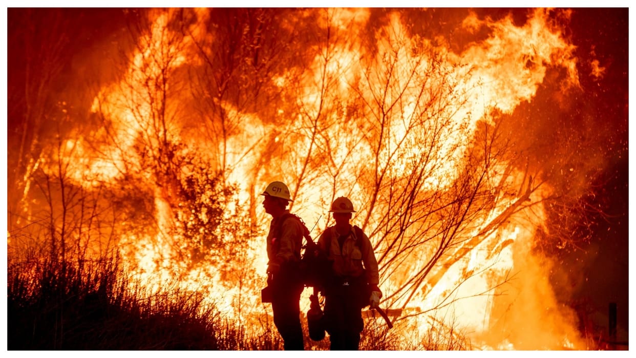 California Wildfire Power Line Fault Ruled Out 28 Dead in Massive Blaze world news in Hindi