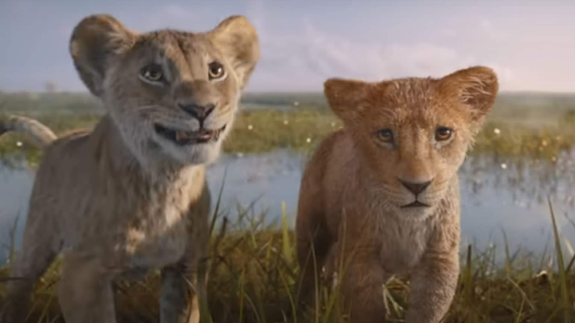 Know film in which lion plays an important role on world lion day