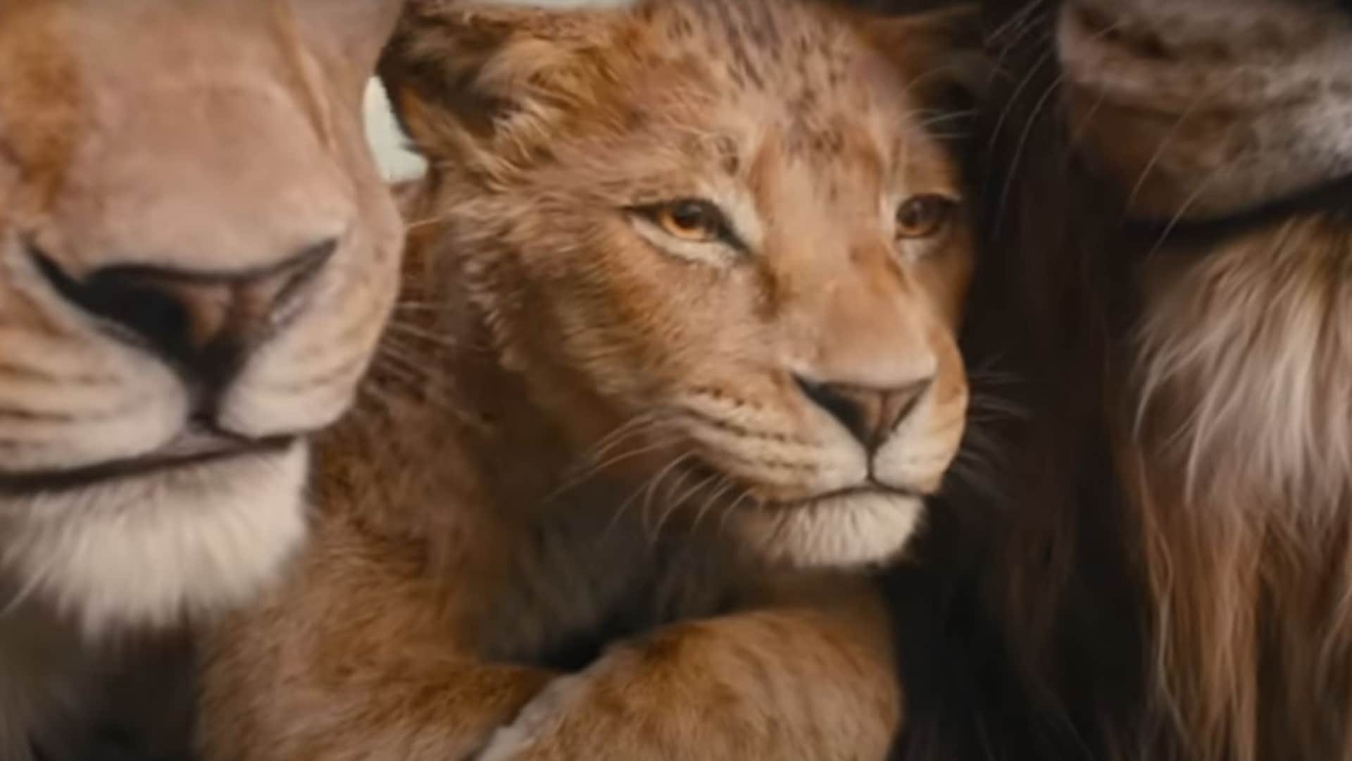 Mufasa Box Office 21st day collection of the film for three weeks know all earnings of Shahrukh khan film