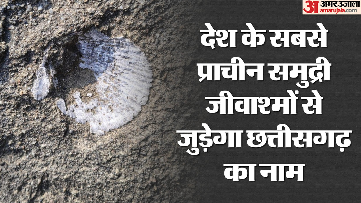 several crore year old marine fossil found near Hasdev river Fossil Park to be built in Mahendragarh news