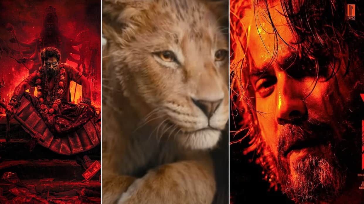 box office collection report allu arjun pushpa 2 the rule mufasa the lion king baby john thrusday earnings