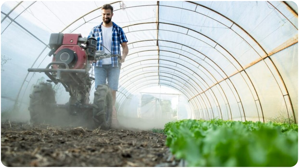 Centre Pilots Direct Subsidised Fertiliser Sale to Farmers in 40 Districts Across 20 States