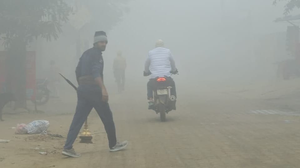 Dense Fog in Haryana visibility lessens