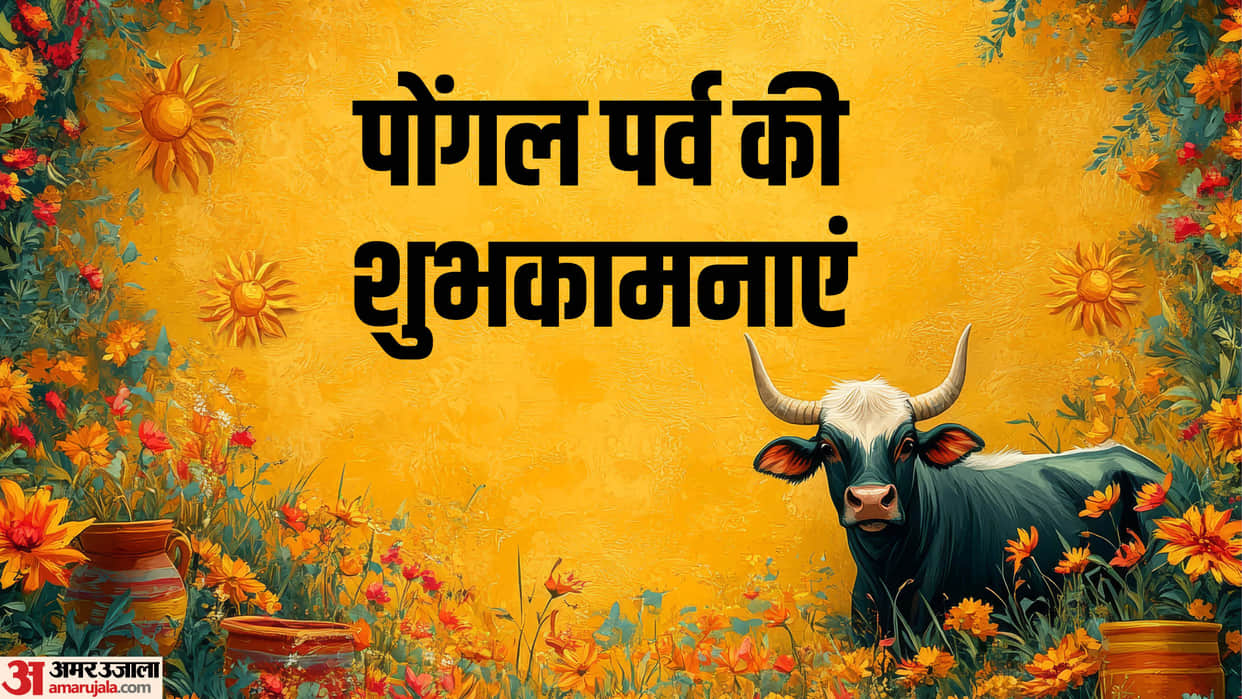 Happy Pongal 2025 Wishes Quotes Messages Images HD Greetings Wallpapers Whatsapp Status In Hindi