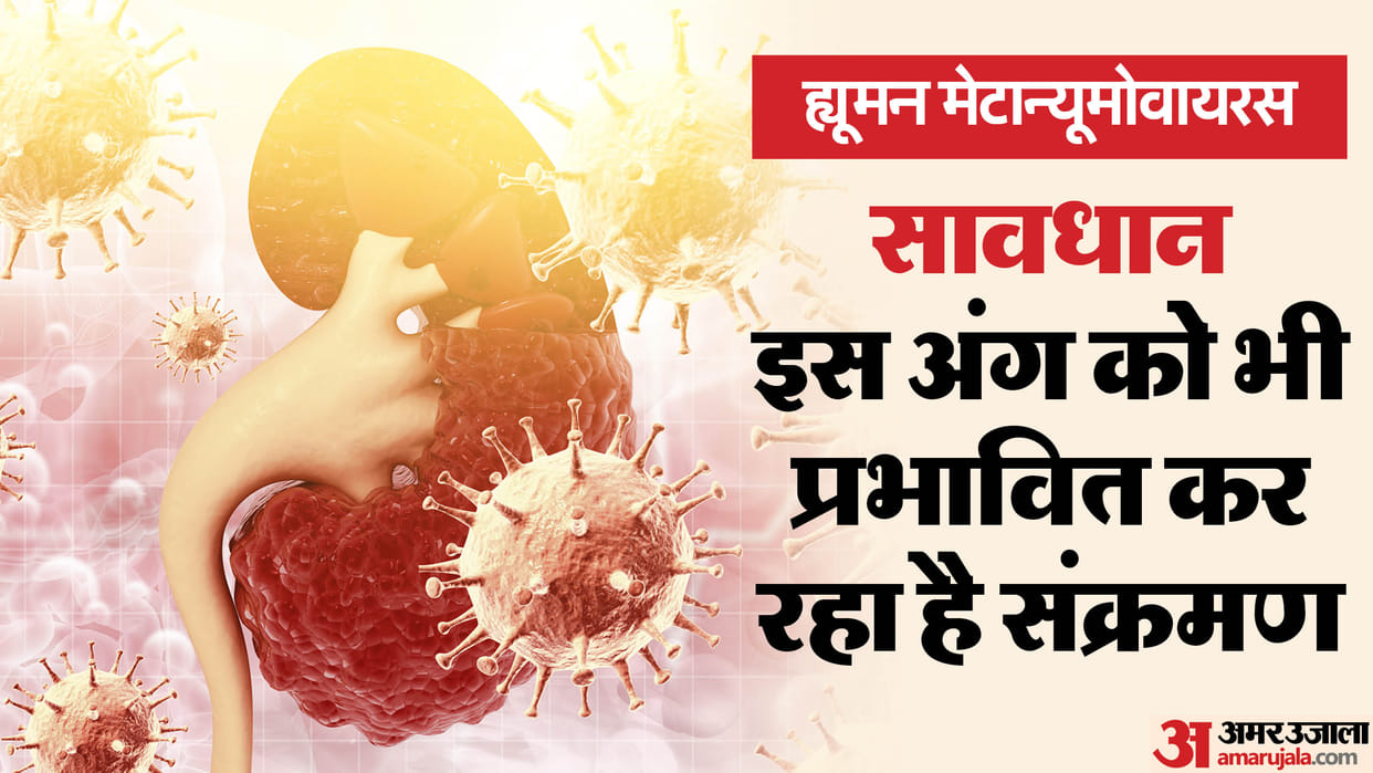 human metapneumovirus HMPV Side Effects Can HMPV affect your kidneys