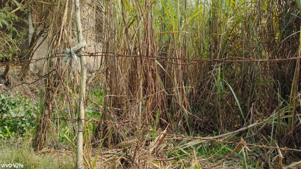 police got confused with theory of barbed wire while In Sitapur doctors removed bullet from stomach of injured