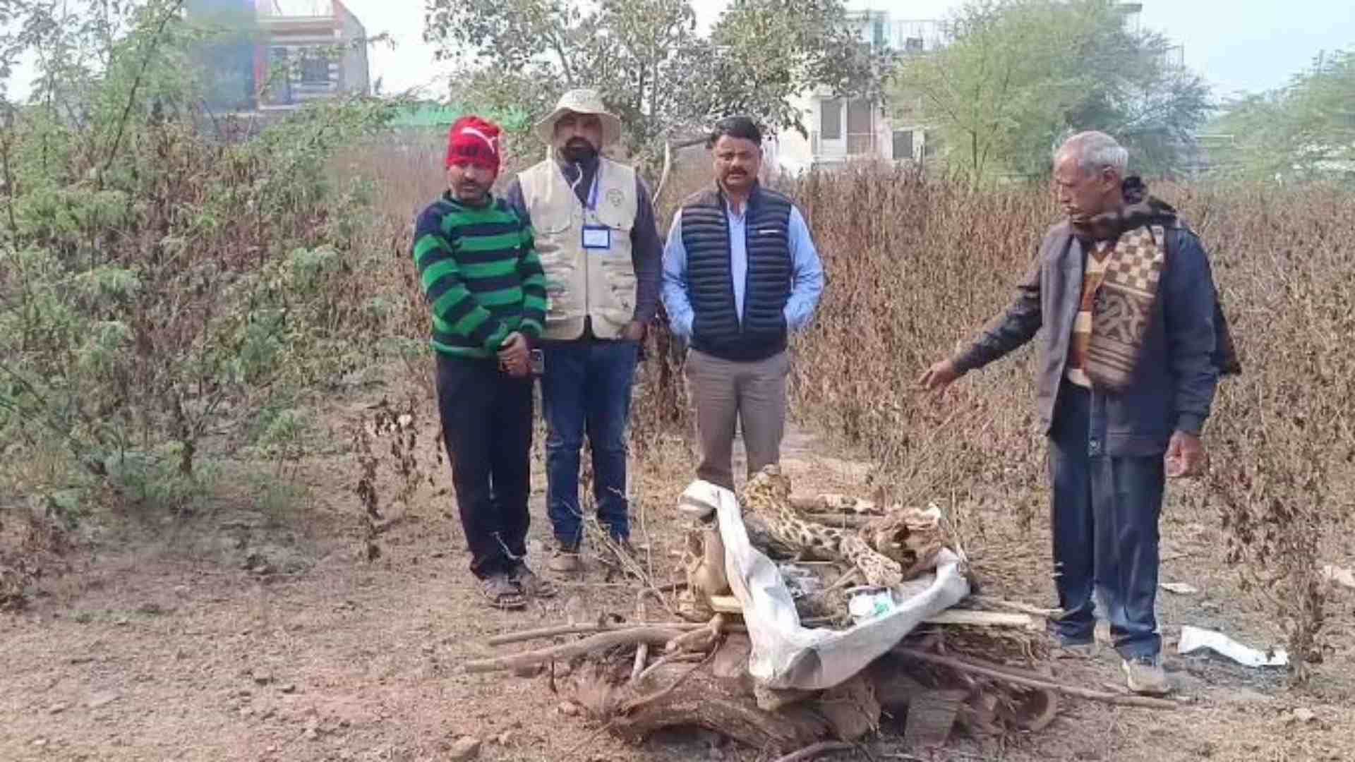 जंगल में किया गया पैंथर का अंतिम संस्कार।