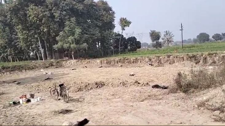 UP 50 sheep sick in Mau 30 dead health deteriorated food loss of three lakhs rupees