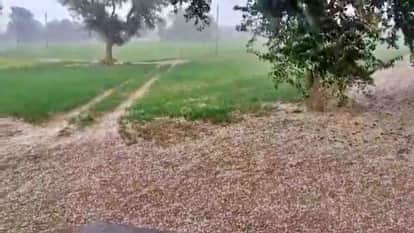 Rajasthan Weather Forecast Today: IMD Alert for Rain and Hailstorm, Impact of western disturbance