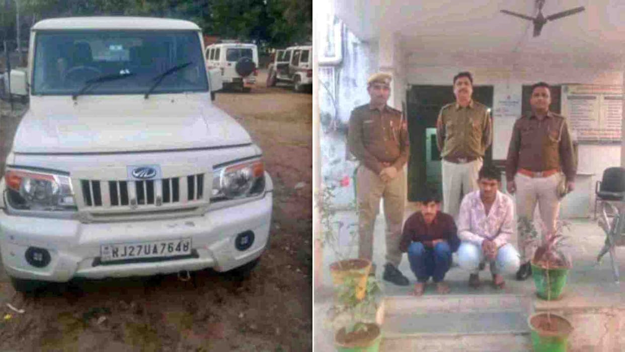 Sirohi News: 840 grams of opium milk worth Rs 4 lakh seized from Bolero car