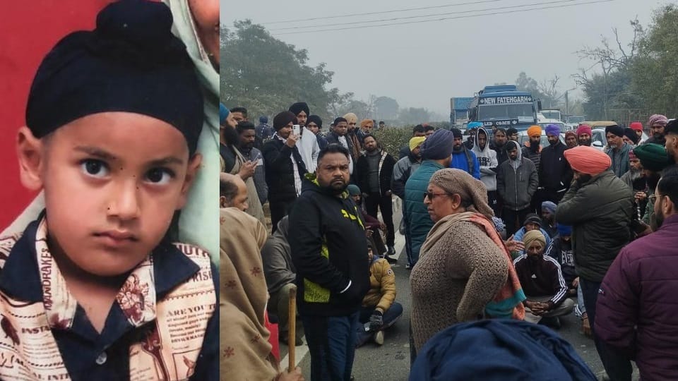 Ludhiana 11 year old boy mauled to death by dogs