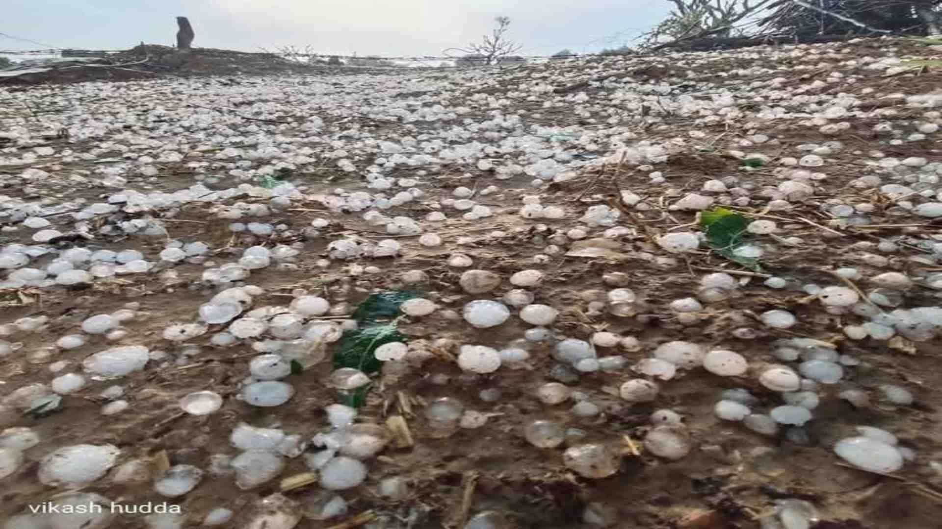 राजस्थान में गिरे ओले।