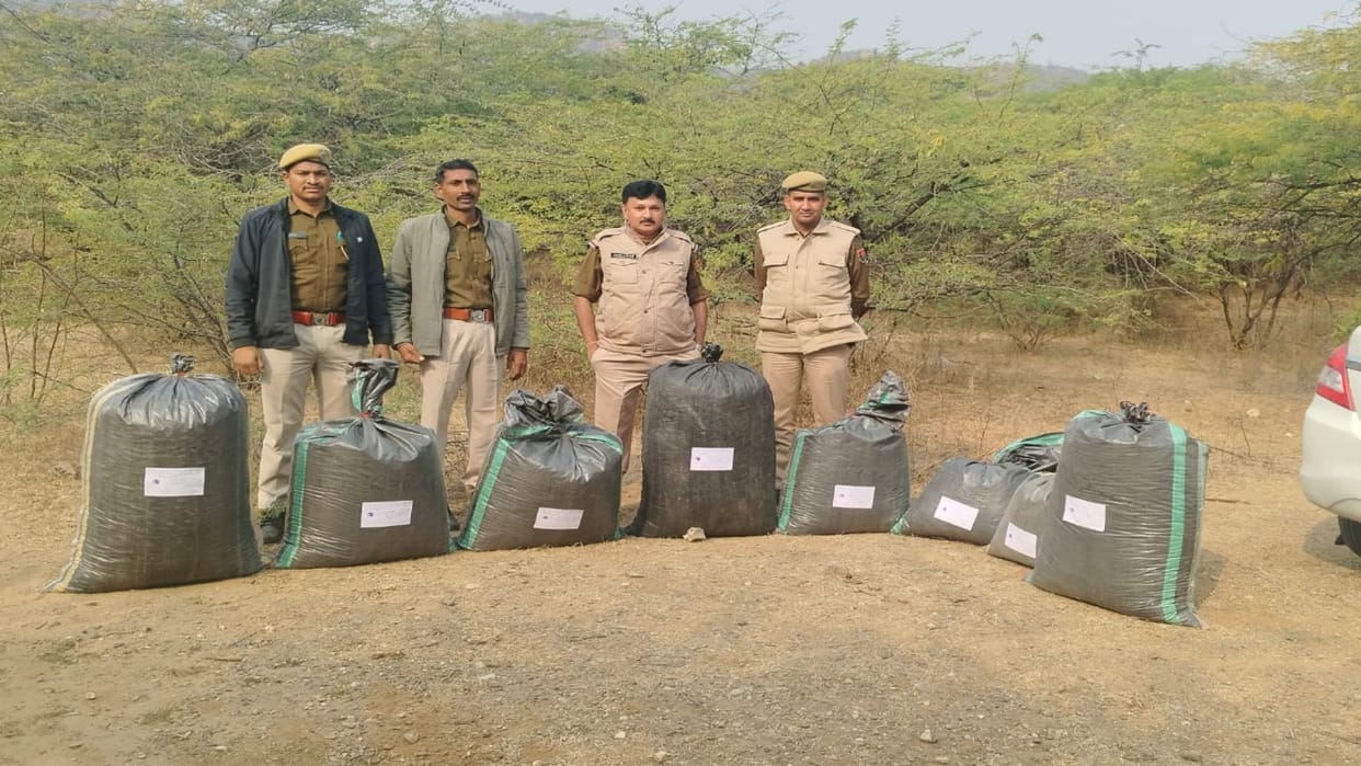 Sirohi News: Doda poppy filled in 8 bags seized during blockade, smuggler absconding, market price is 5 lakh