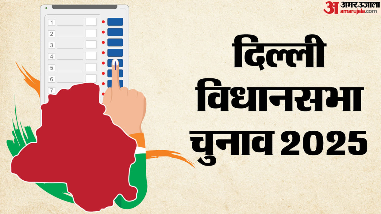 Delhi Election 2025 981 candidates filled 1521 nomination papers