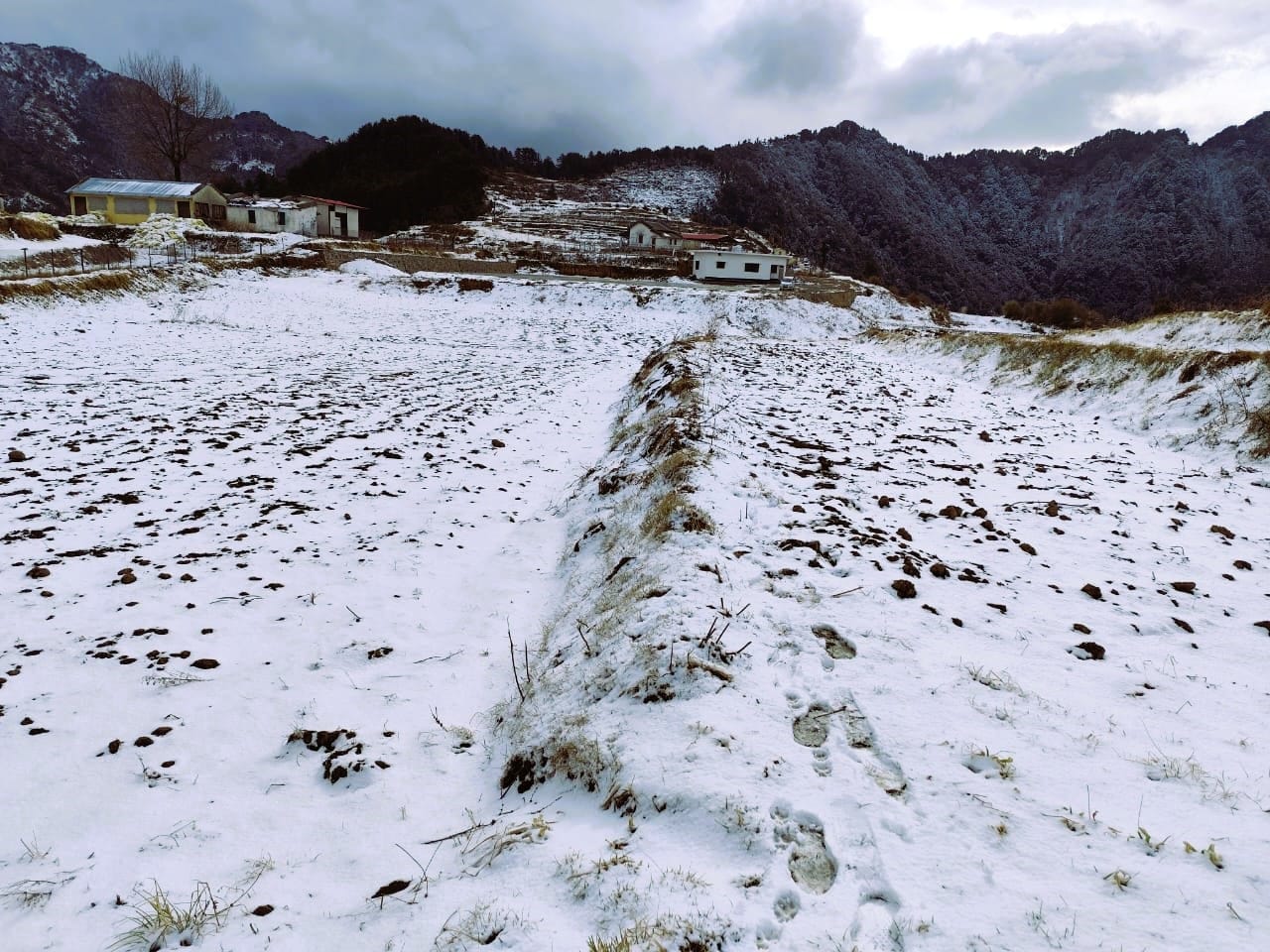 Uttarakhand Weather tourists reach Mussoorie-Dhanaulti, Chakrata after Snowfall Photos