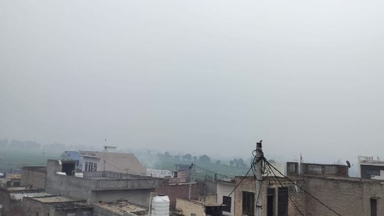 हरियाणा में फिर बदला मौसम: आज छाएगा घना कोहरा, हिसार में 13 एमएम बारिश रिकॉर्ड हुई; दो दिन का ऑरेंज अलर्ट