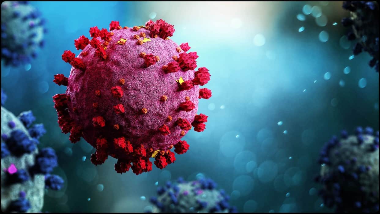Rate of HMPV infections in northern China declining, Chinese health official says