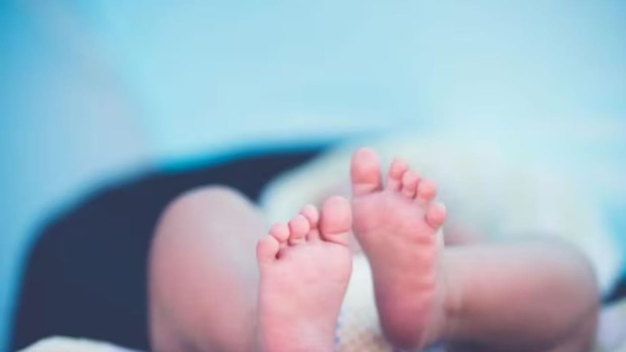 Newborn girl found on the roadside in Solan Himachal, admitted to regional hospital for treatment