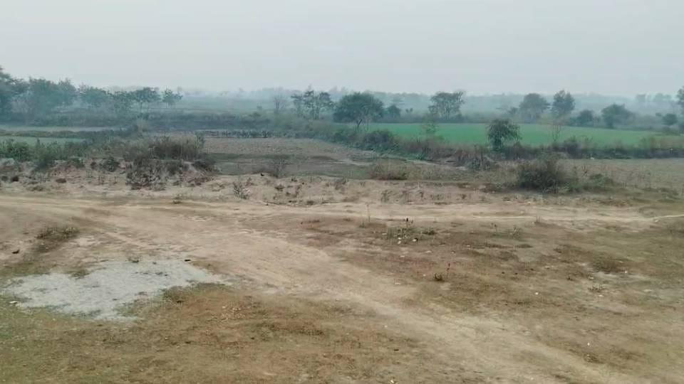 Haryana Weather Update: Sun shines since morning, slight increase in temperature